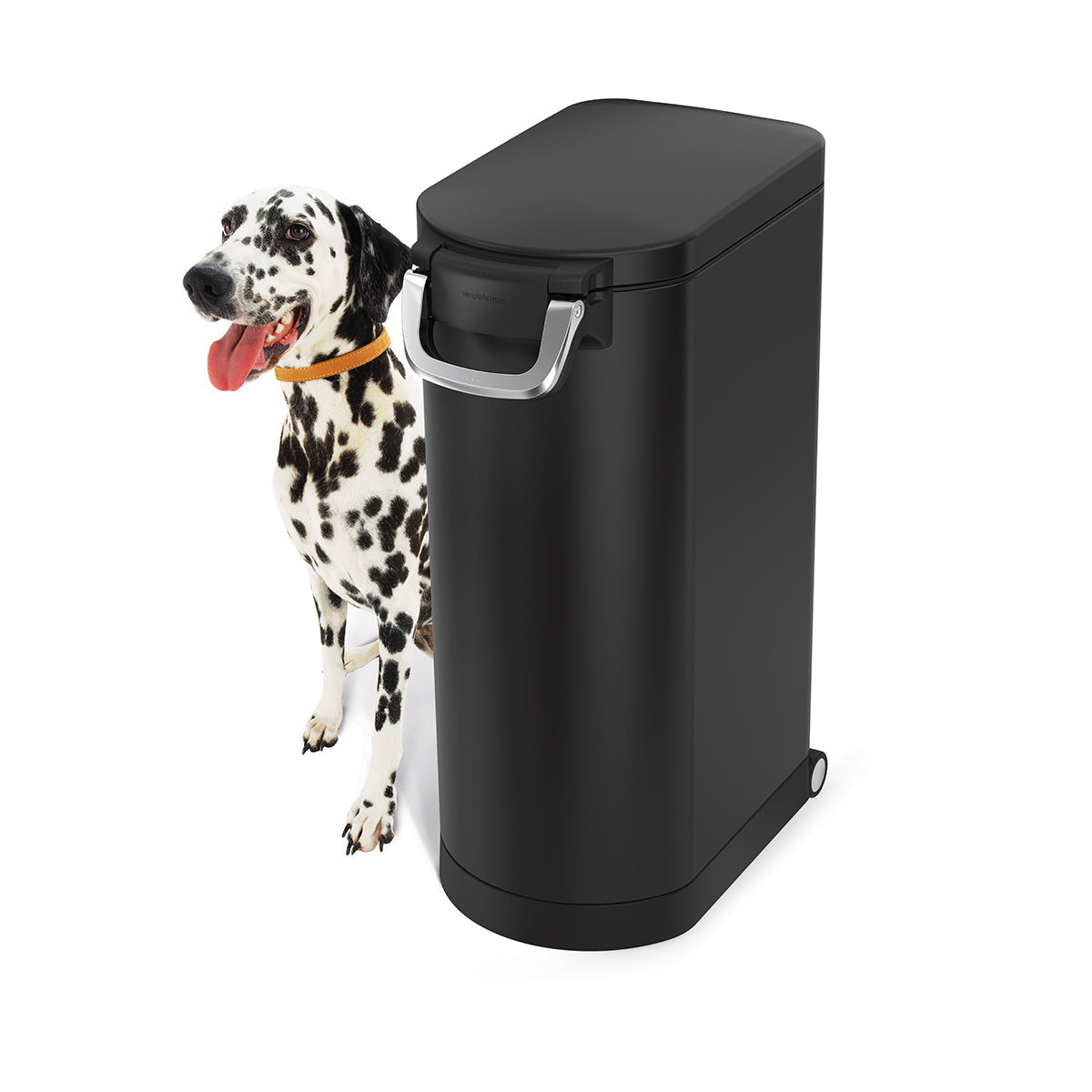 Angled view, Simplehuman X-Large Pet Food Can, Matte Black, next to a Dalmatian, features airtight locking handle and wheels.